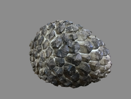 Pine cone wooden