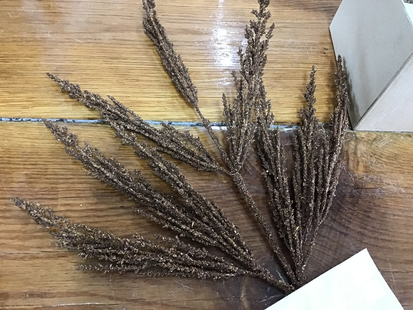 Stem
