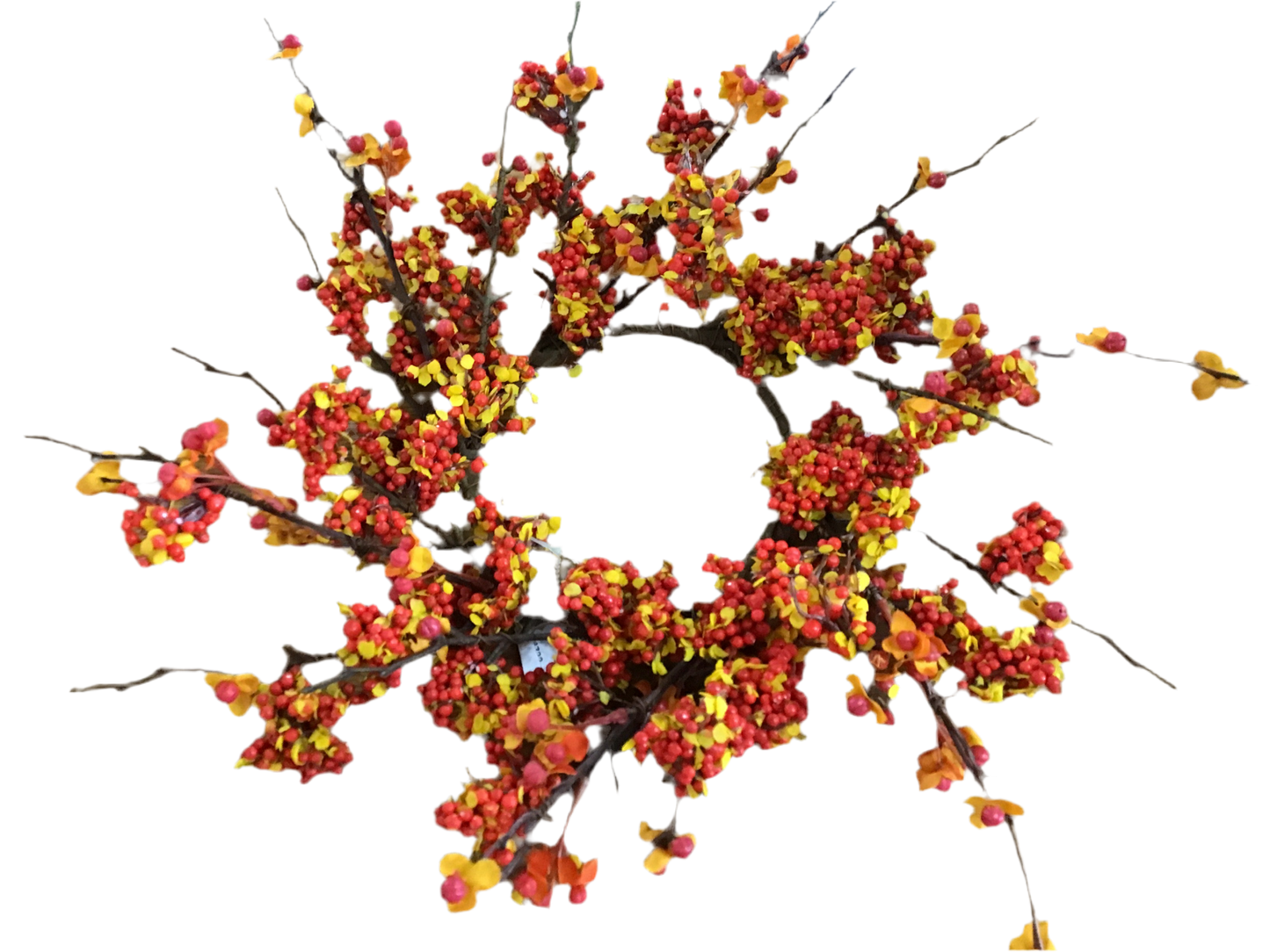 Bittersweet candle ring