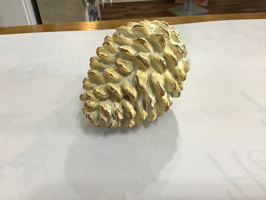 Medium white pinecone