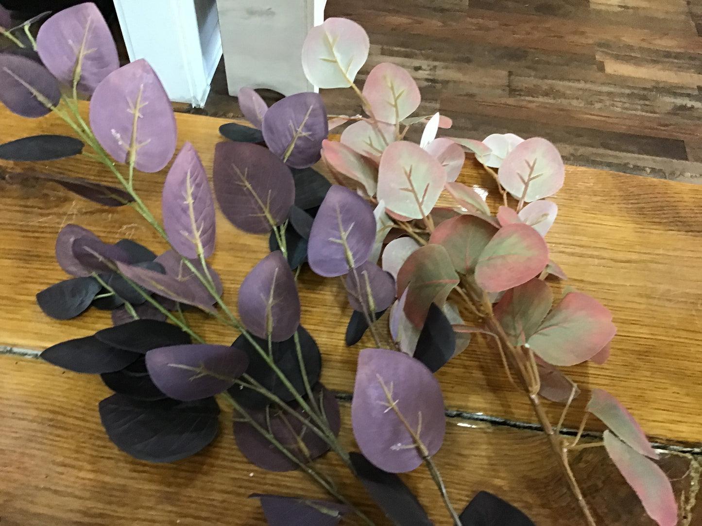 Eucalyptus spray