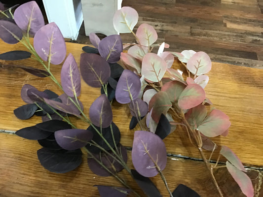 Eucalyptus spray