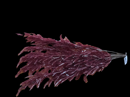 Burgundy fern