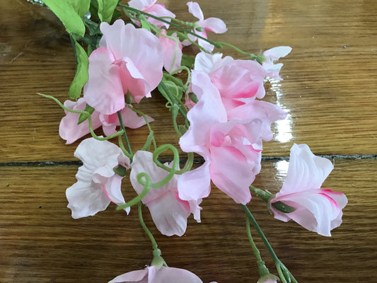 Sweet pea lavender