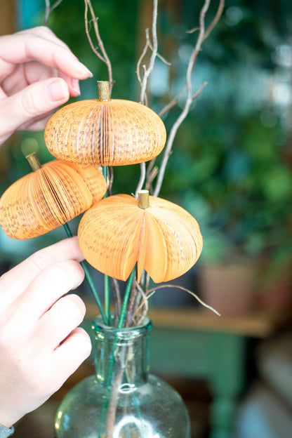 Book Pumpkin Cutie Stems-Fall Decor-Halloween Decor