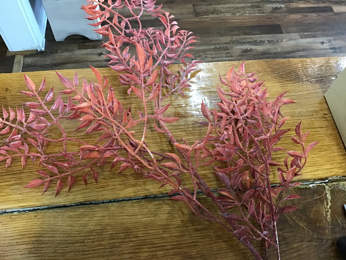 Fall spray