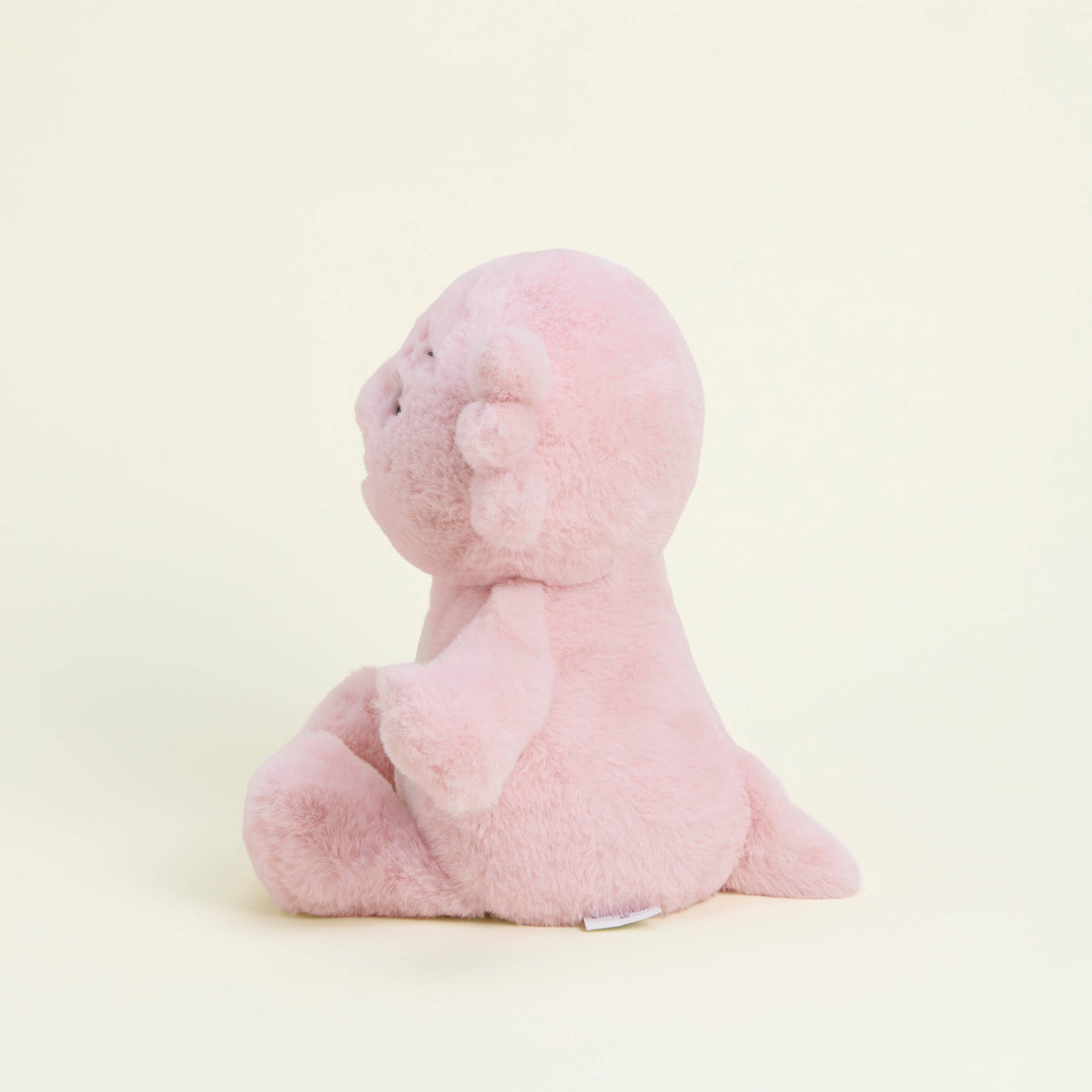 Cozy Cute Axolotl Warmies Softest Plush Ever Collectable Super soft Weighted for Anxiety