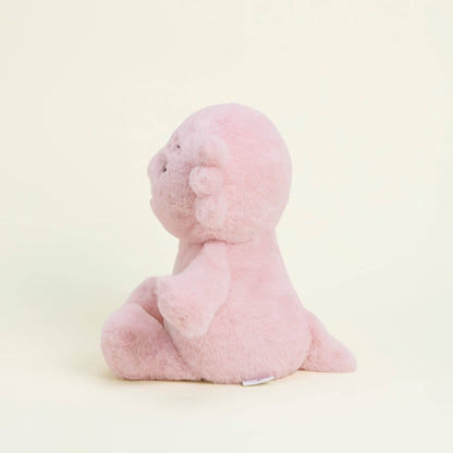 Cozy Cute Axolotl Warmies Softest Plush Ever Collectable Super soft Weighted for Anxiety