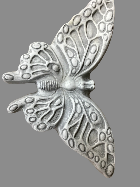 Lg butterfly