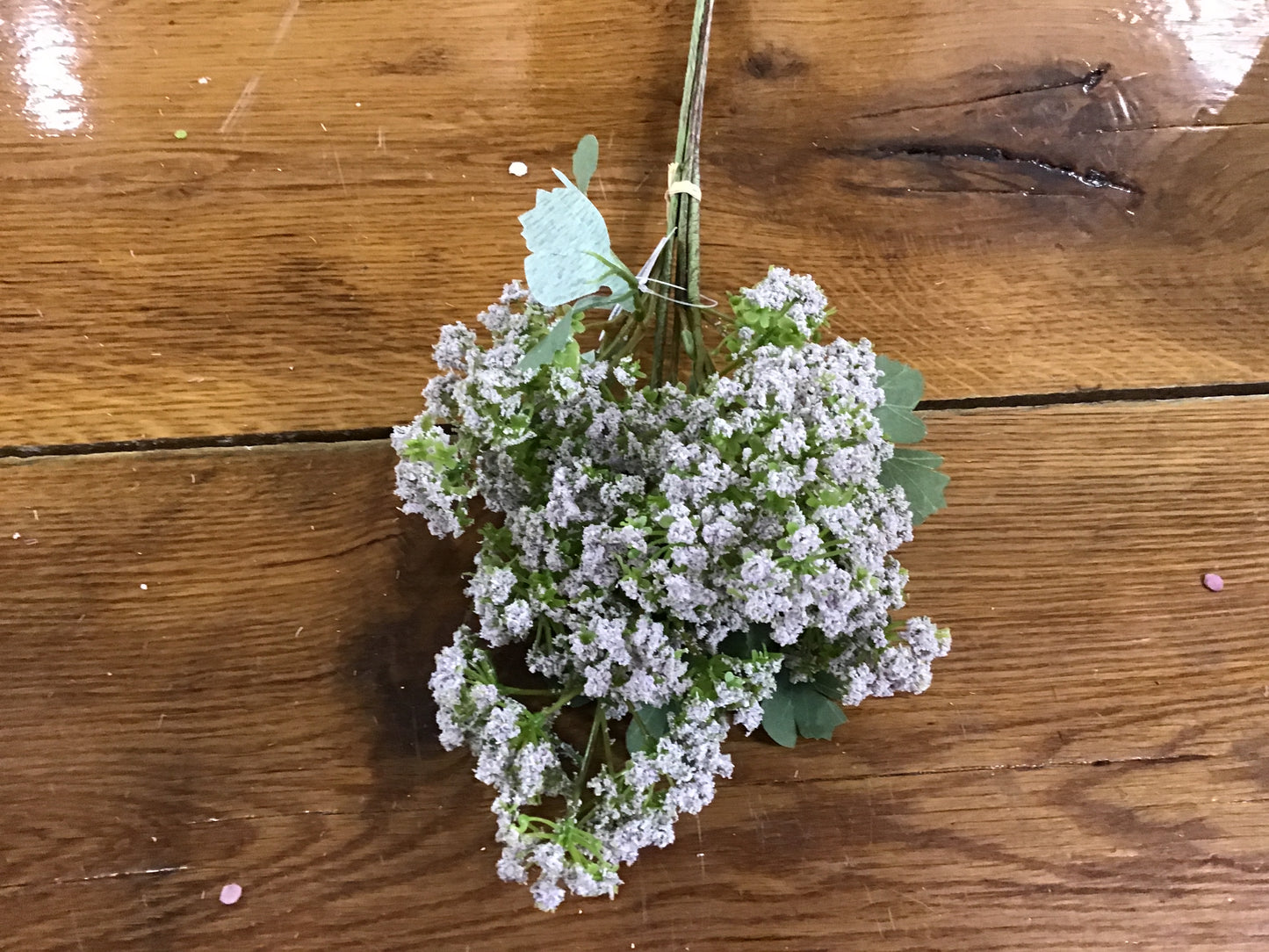 Angelica bundle