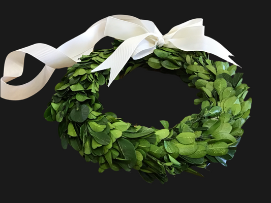 Medium 6 inch diameter boxwood wreath