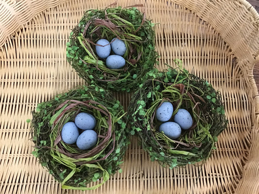 Nest with eggs
