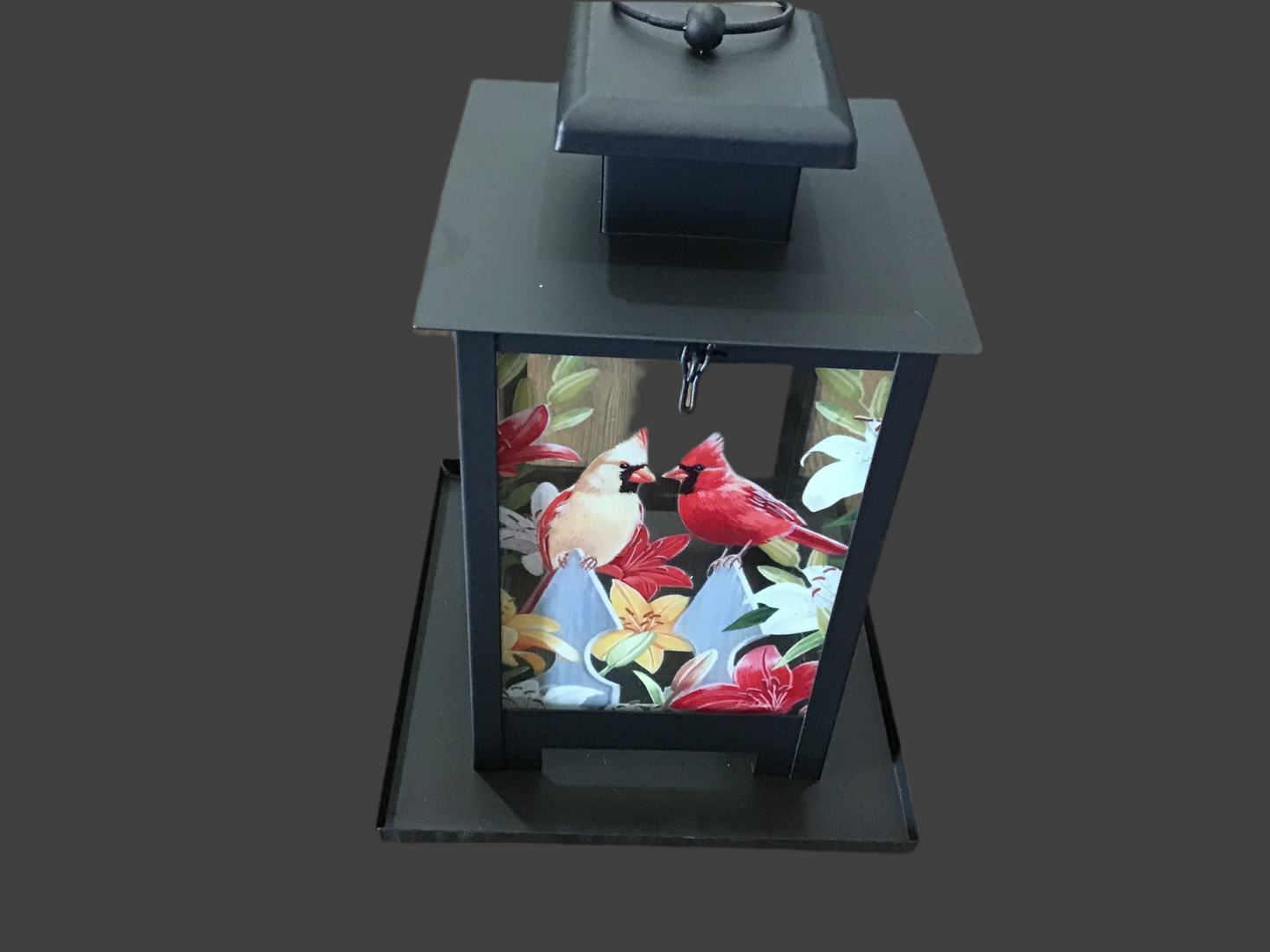 Bird feeder cardinals glass and black metal