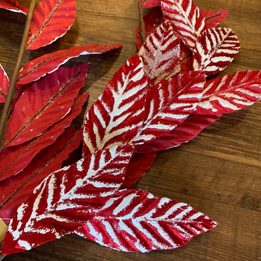 Red and White Leaf Spray