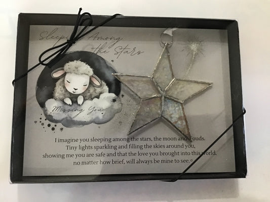 Sleeping star infant memorial