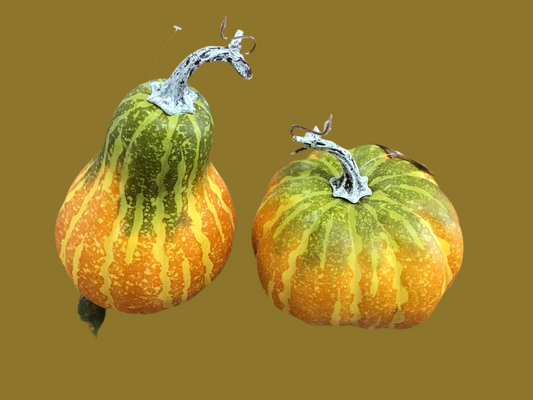 Pumpkin