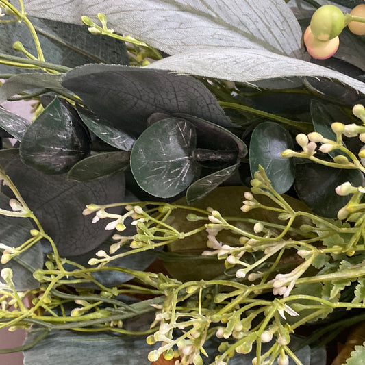 Eucalyptus Berry Bush