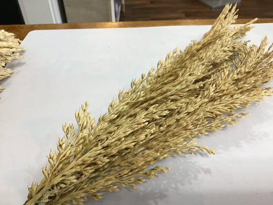 Wheat plume bundle