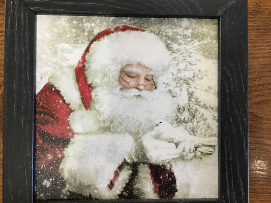 Glitter Santa Picture