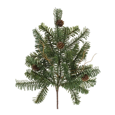Pine Stem