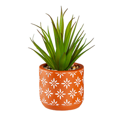 Succulent With Cement Planter