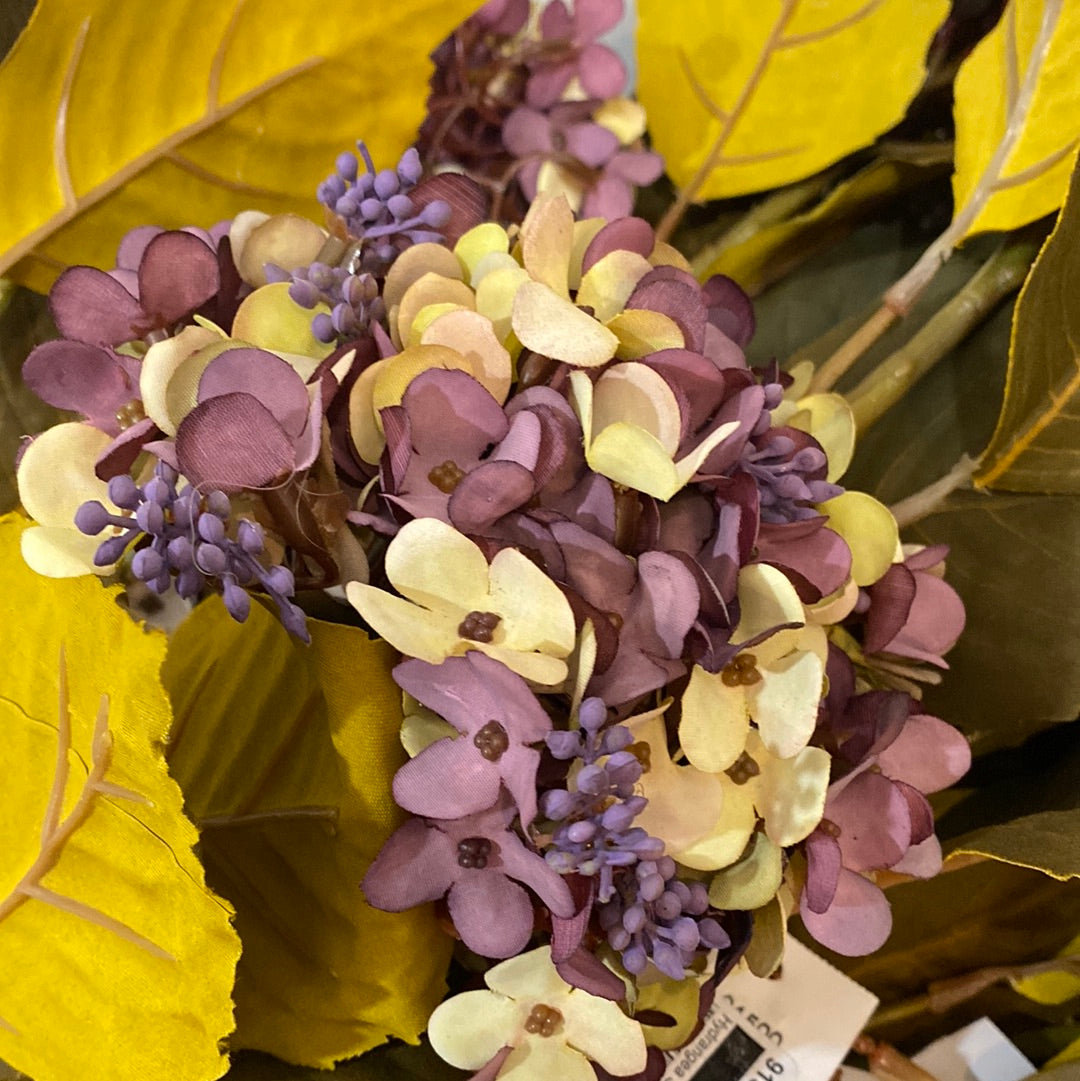 Hydrangea Stem