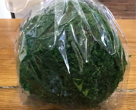 Medium moss ball 4 inch