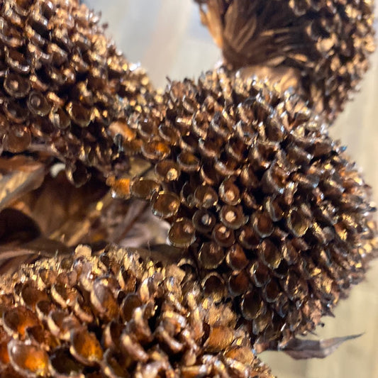 Allium Stem