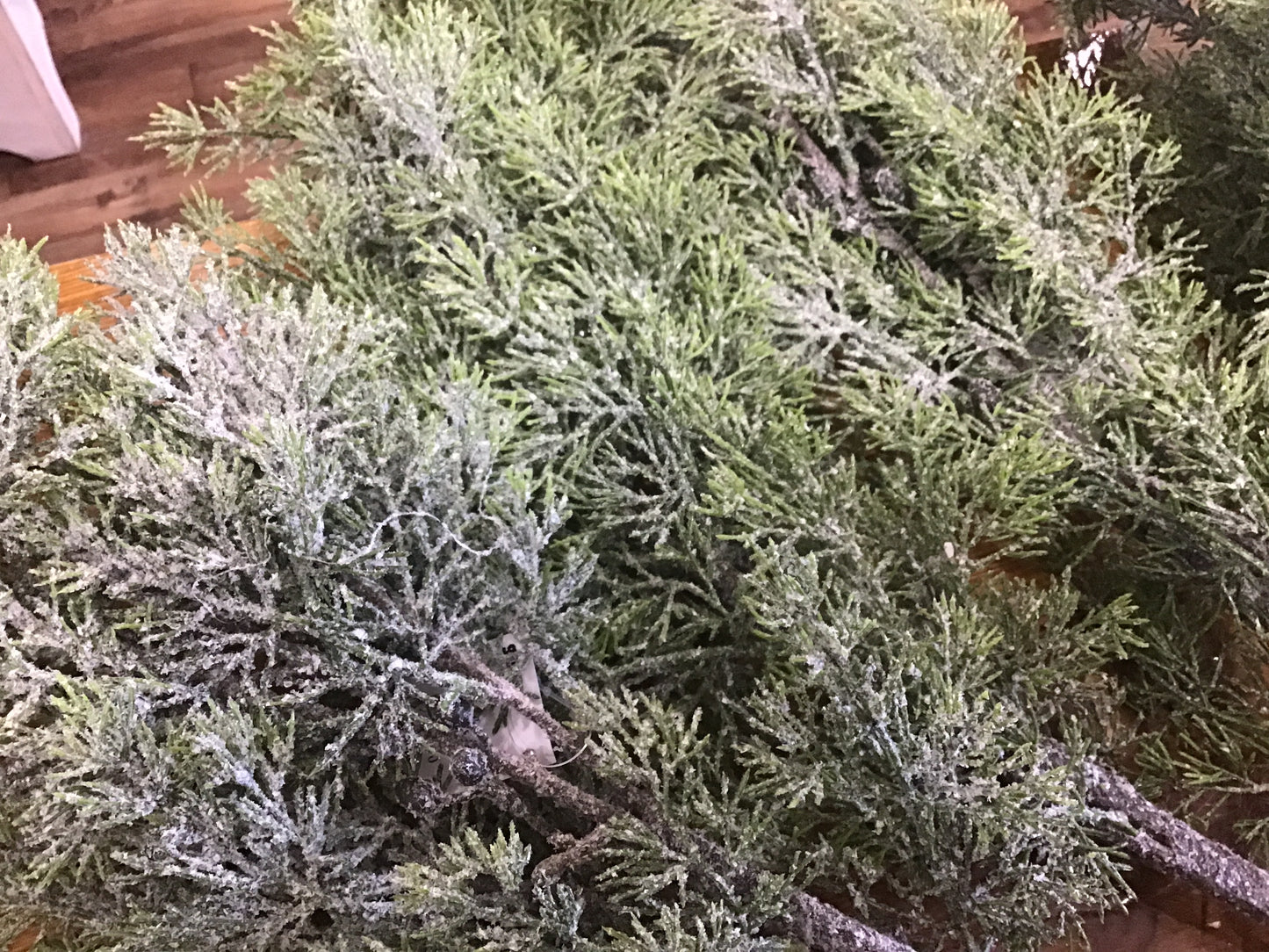Small dark berry pine spray