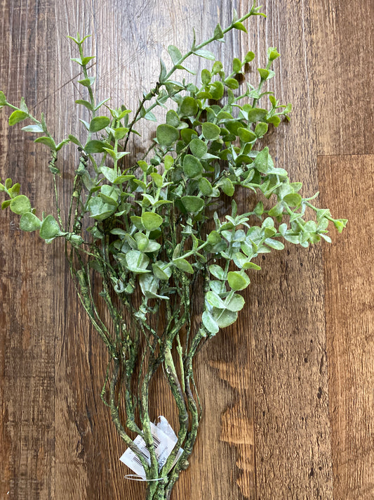 Boxwood Spray