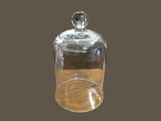 Glass cloche 10 inches tall