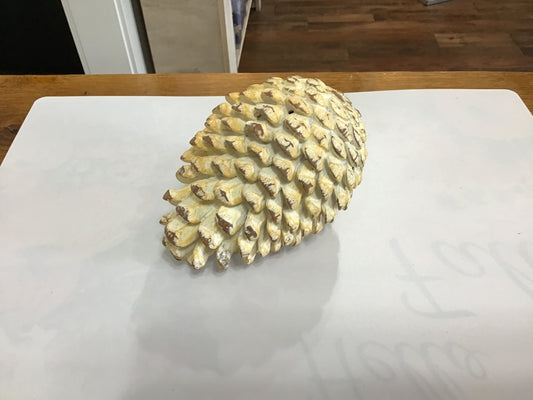 Large white pinecone