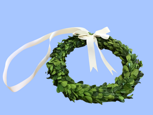 Large 9 inch diameter boxwood wreath