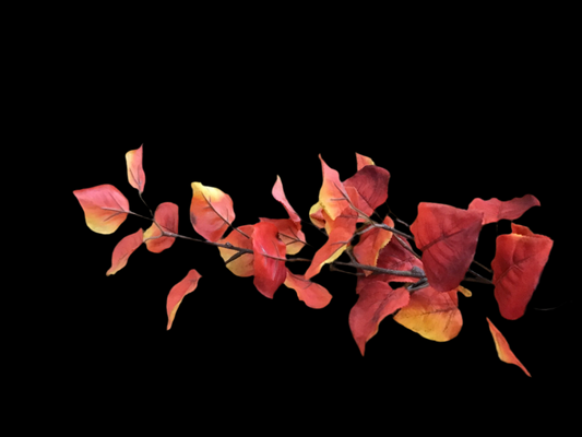 Fall leaf spray