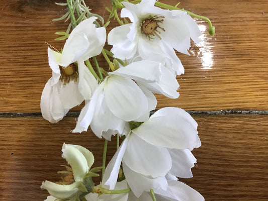 Garden white cosmo