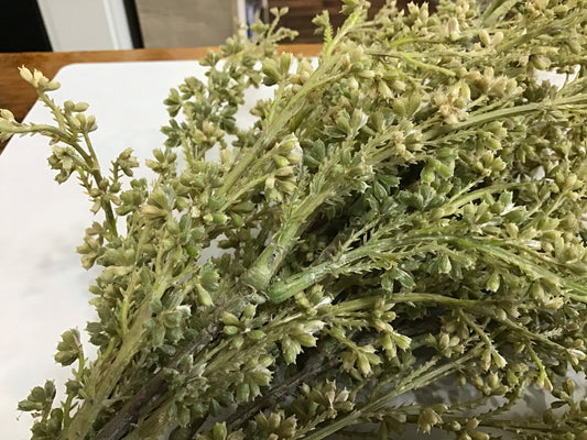 Mini seed pod bundle