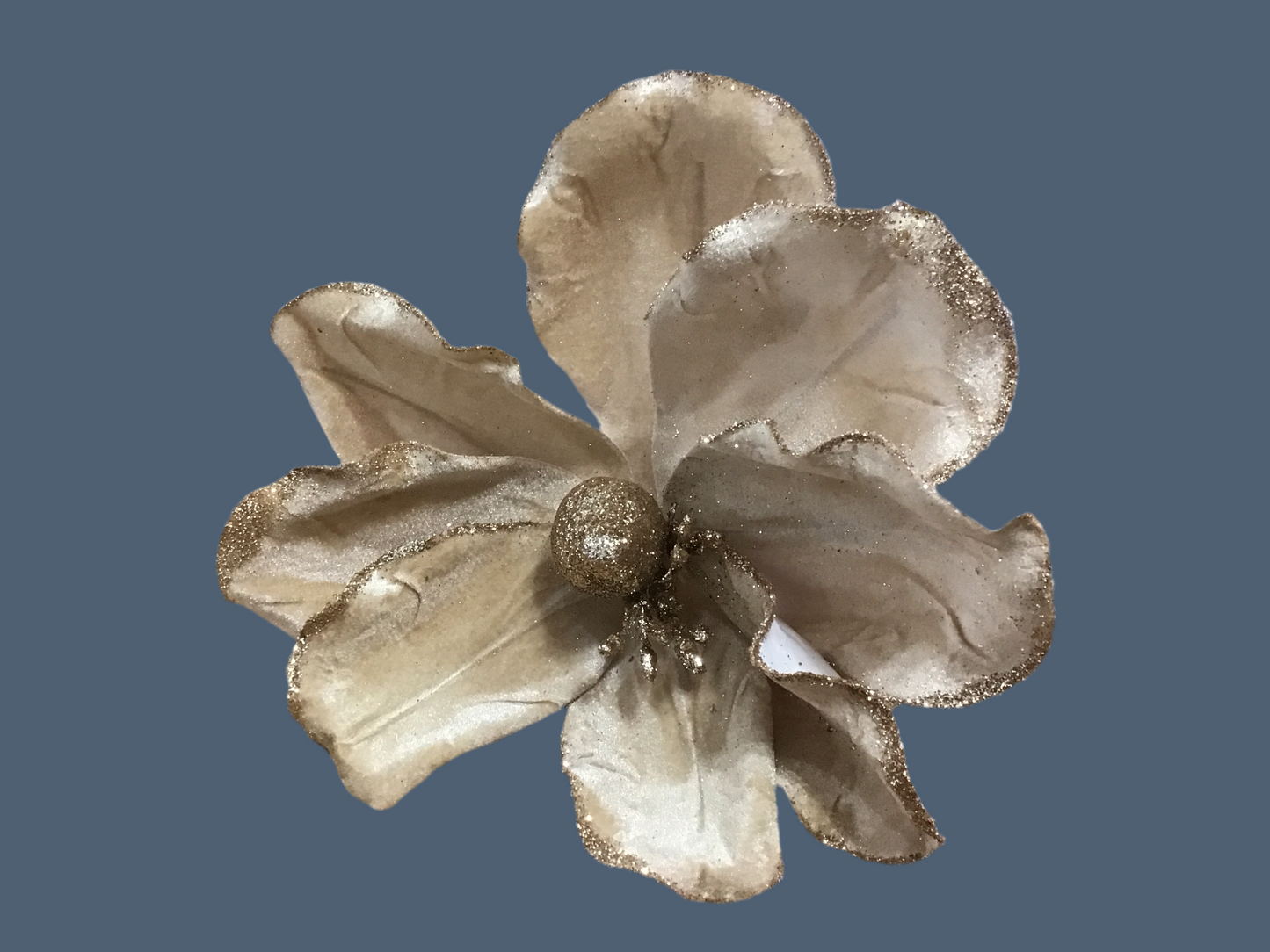 Magnolia pick
