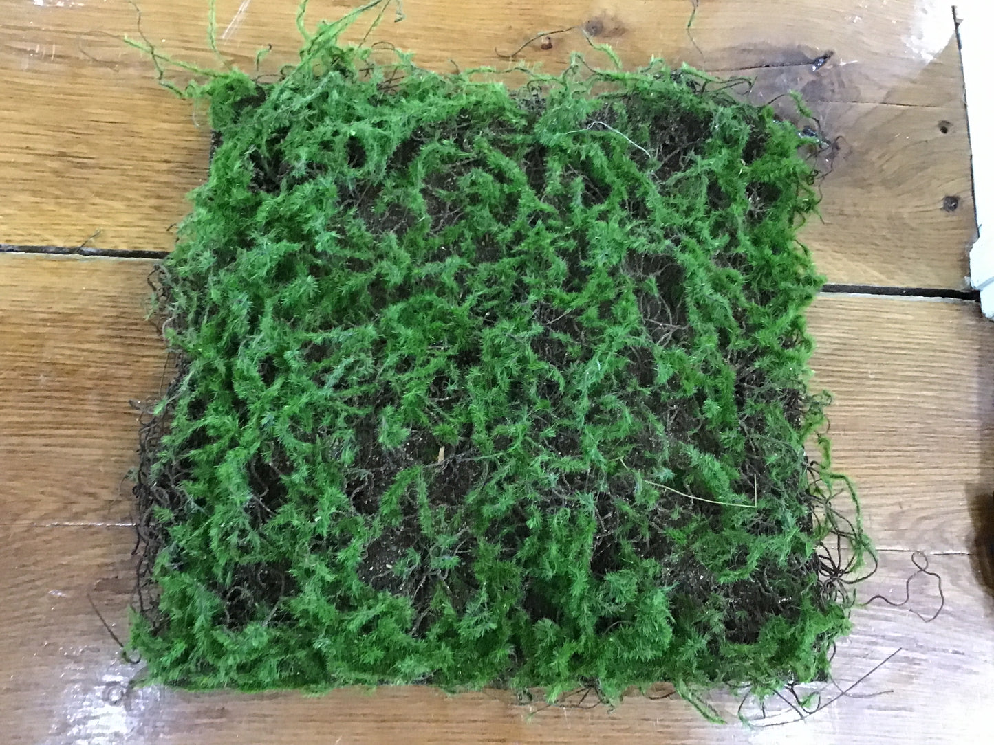 Mossy square
