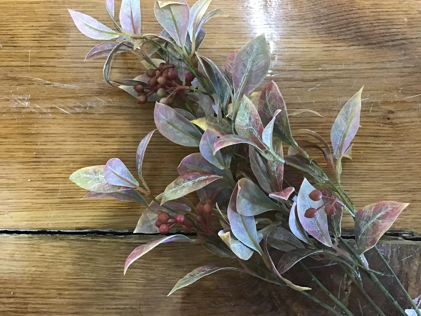 Leafy SprayW/Berry