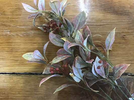 Leafy SprayW/Berry