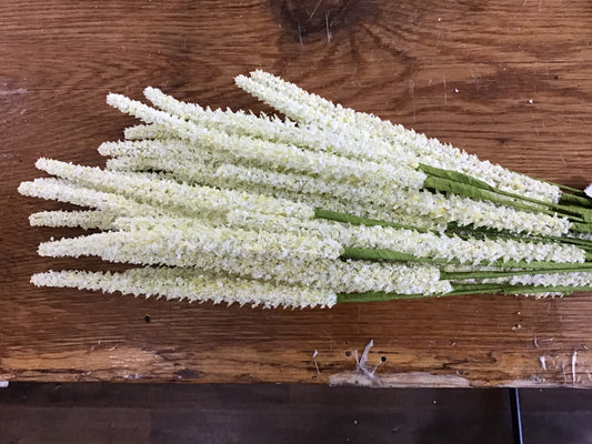 Foxtail bundle