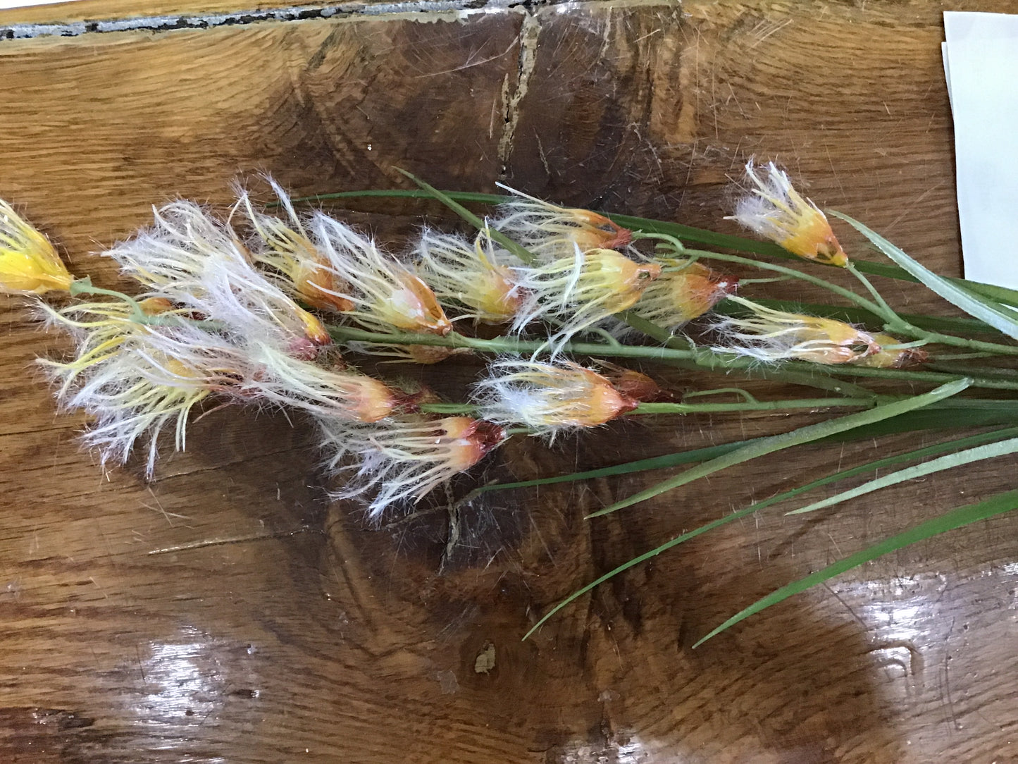 Grass spray