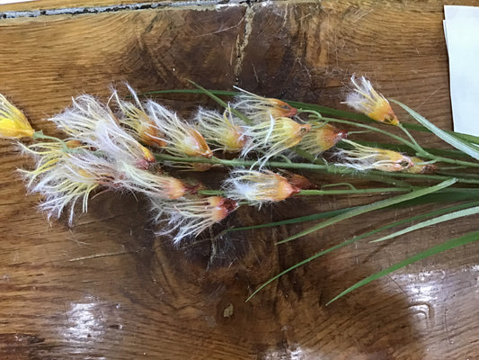 Grass spray