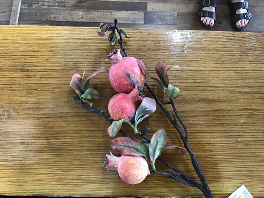 Burnished pomegranate branch