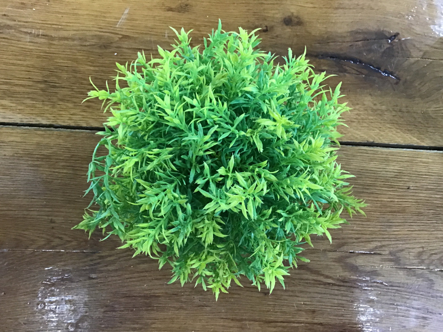 Half orb 10”
