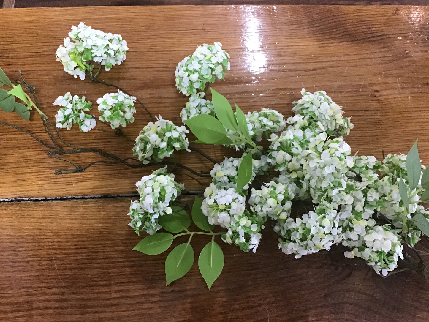 Floral Branch