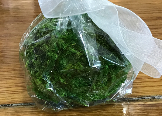 Extra small moss ball 2 inch