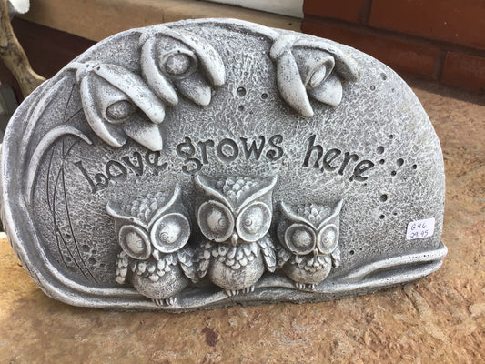 Love grows here w/owls