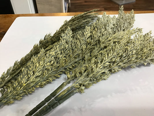 Green wheat bundle