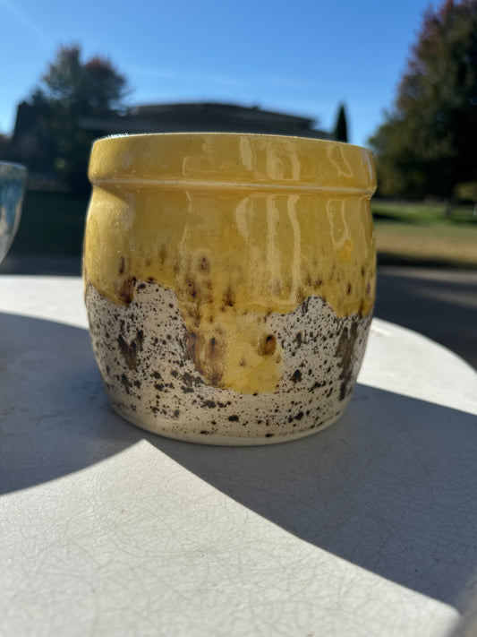 Yellow and Brown Pot